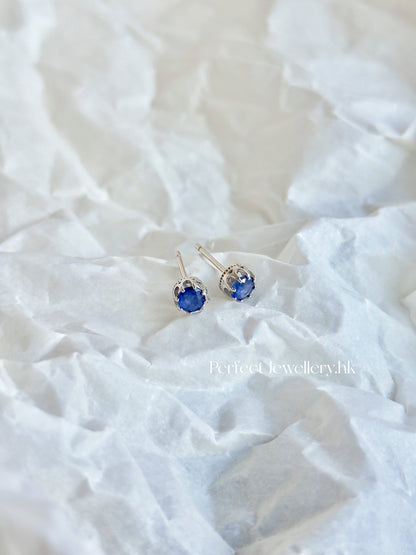 Blue Sapphire S925 Earrings |