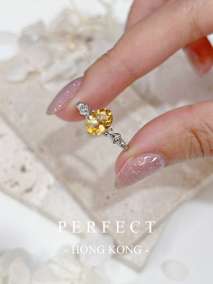 1ct Citrine ⚜️S925 Ring | 黃水晶鳶尾花戒指💛✨